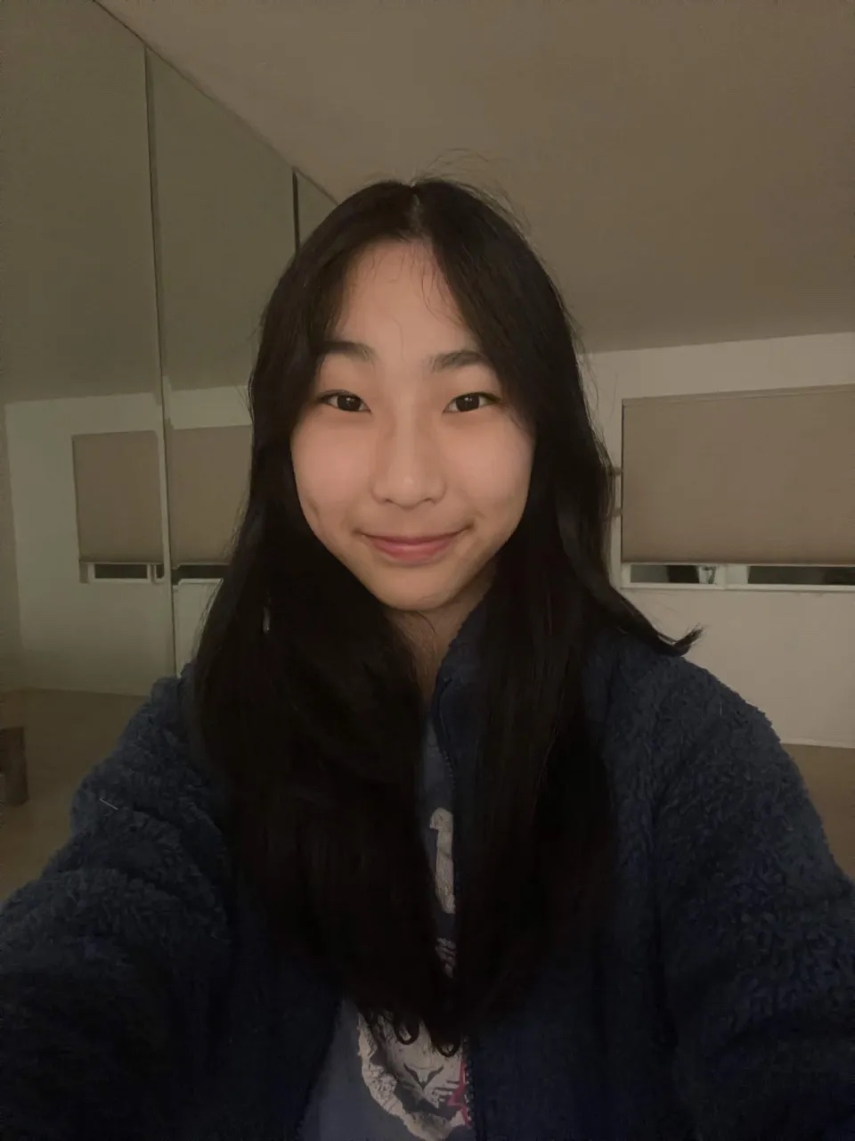 Shuyin Liu